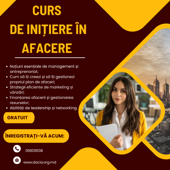 Curs de inițiere în afaceri 