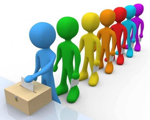 Rezultatele alegerilor a Consiliului Local al Tinerilor