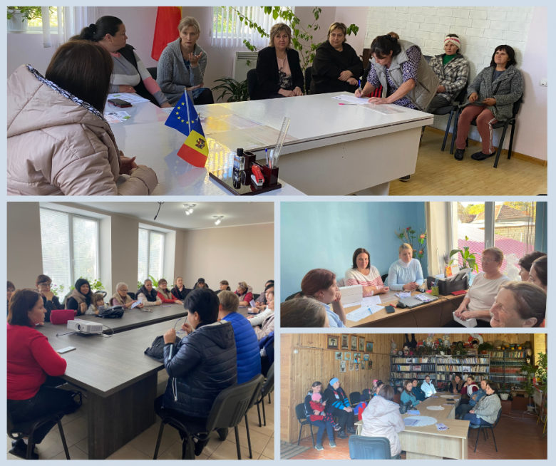 Furnizarea serviciilor prin intermediul Echipei Mobile